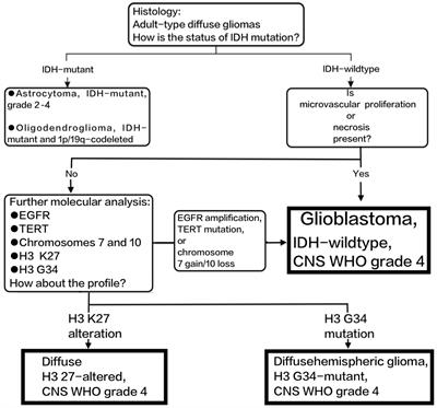 Current chemotherapy strategies for adults with IDH-wildtype glioblastoma